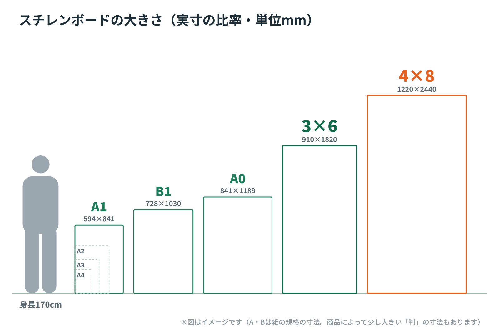 スチレンボードの大きさを実寸の比率で並べた図。身長170cmの人の横に、A1(594×841)、B1(728×1030)、A0(841×1189)、3×6(910×1820)、4×8(1220×2440)。A1の中にA2・A3・A4