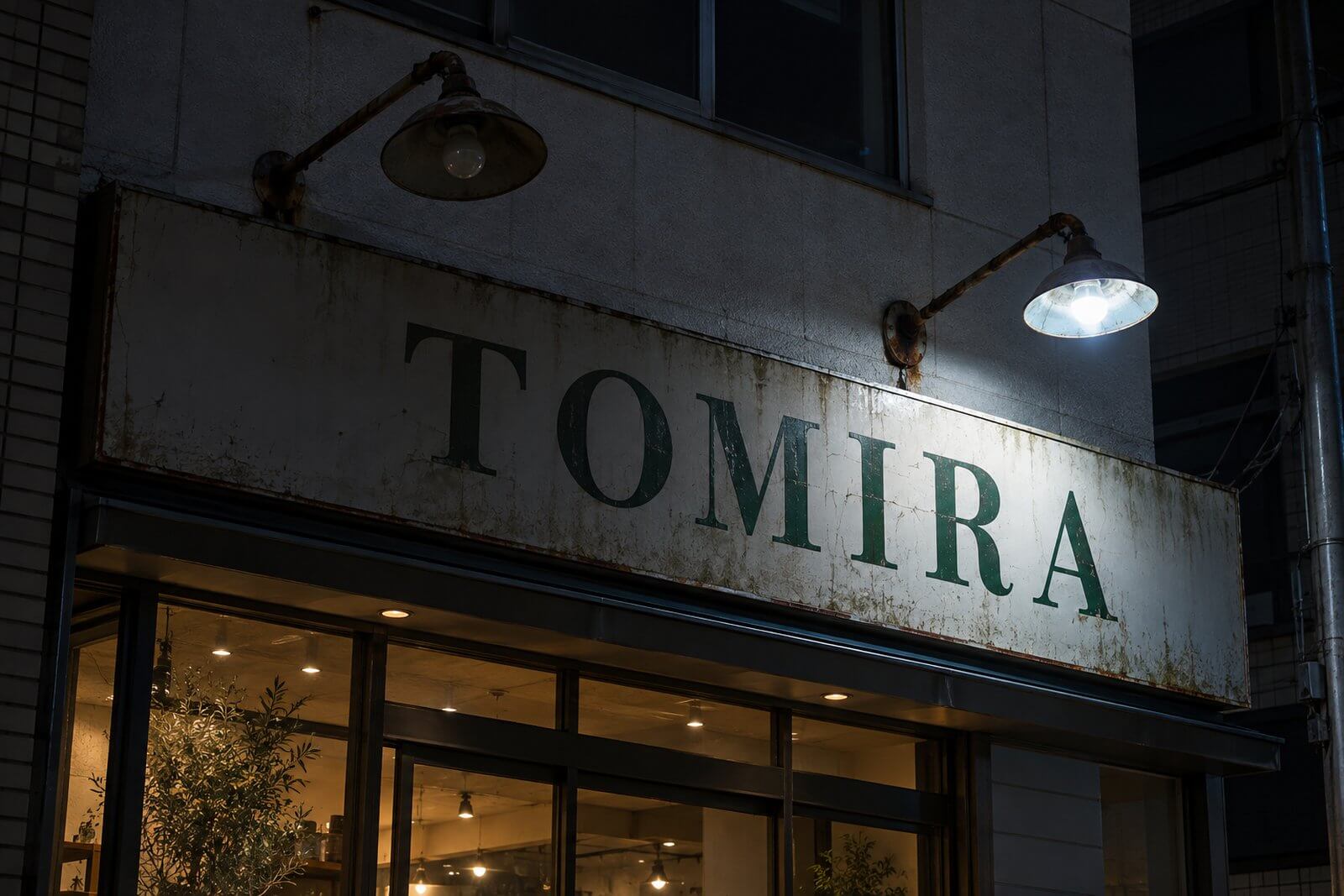 夜の店舗の看板。サビたアームの古い水銀灯の照明が2灯あり、1灯は切れて、もう1灯の光は青白く暗い